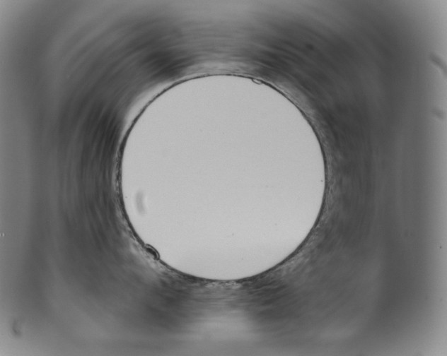 X0000099440912200806061041