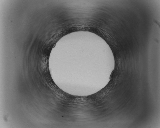 X0000099440914200806061040