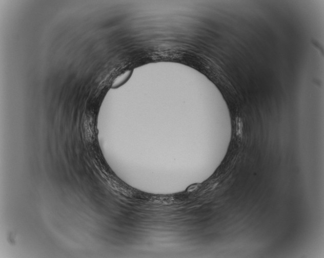 X0000099440915200806061040