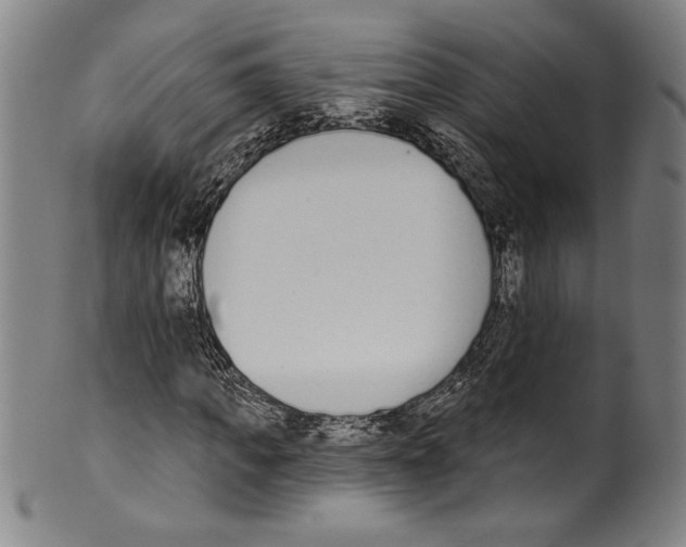 X0000099440917200806061040