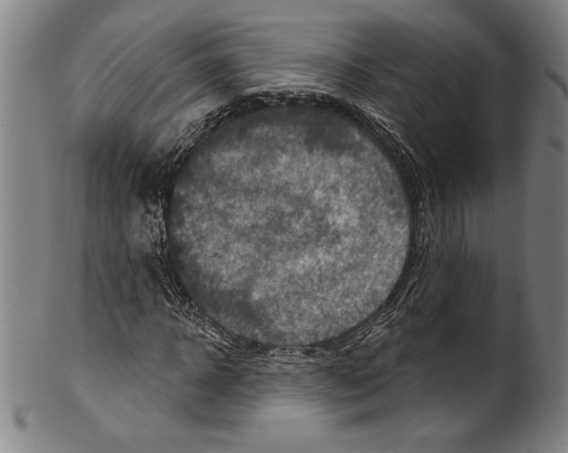 X0000099440918200806061040