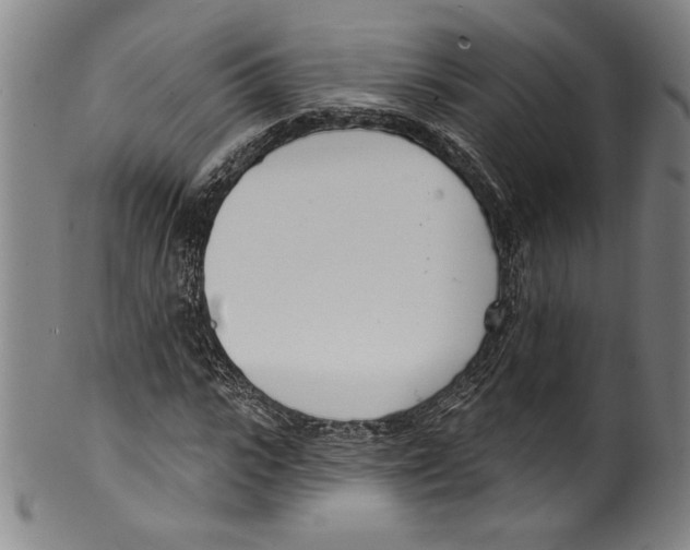 X0000099440919200806061040