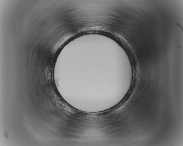 X0000099440921200806061040