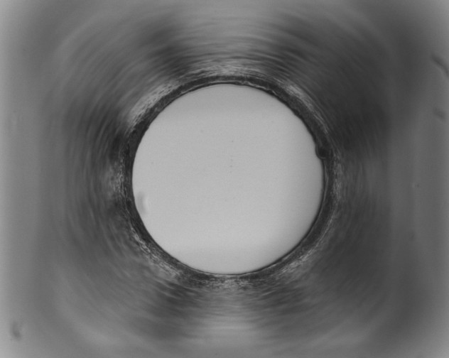 X0000099440922200806061040