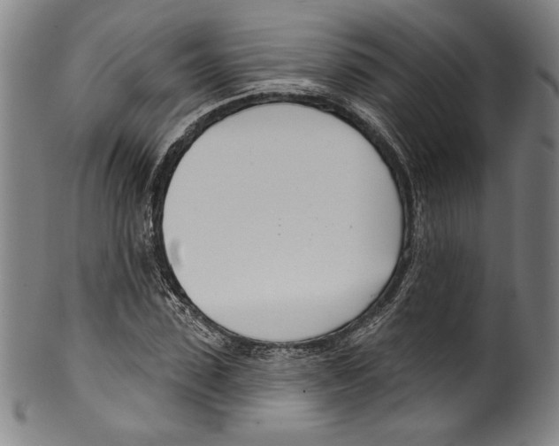 X0000099440923200806061040