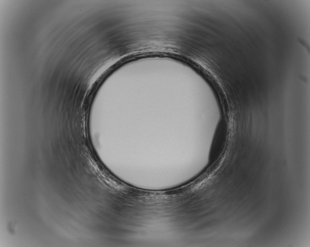 X0000099440925200806061040