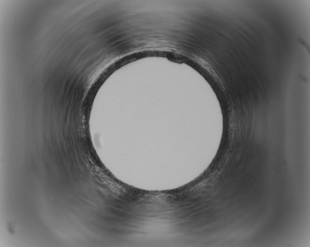 X0000099440926200806061040