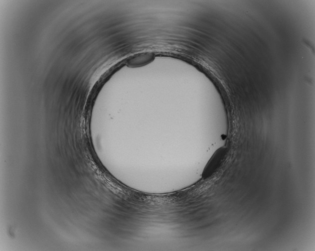 X0000099440928200806061040