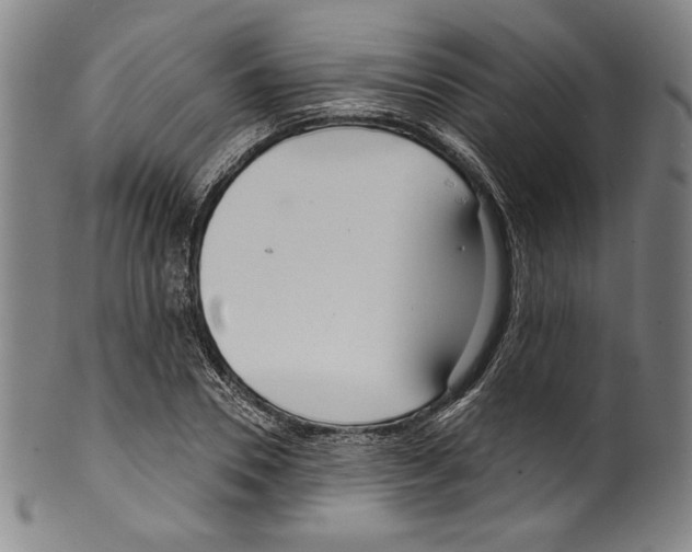 X0000099440930200806061040