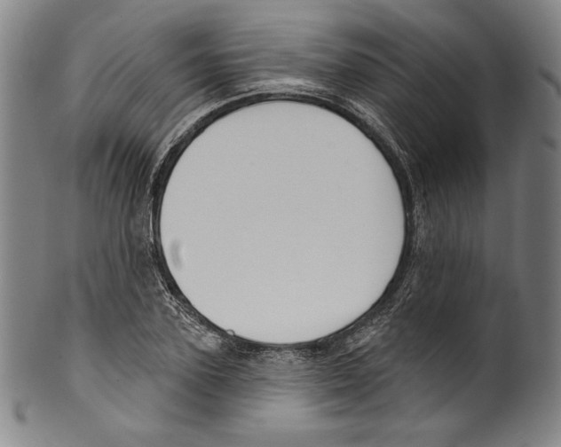 X0000099440931200806061040