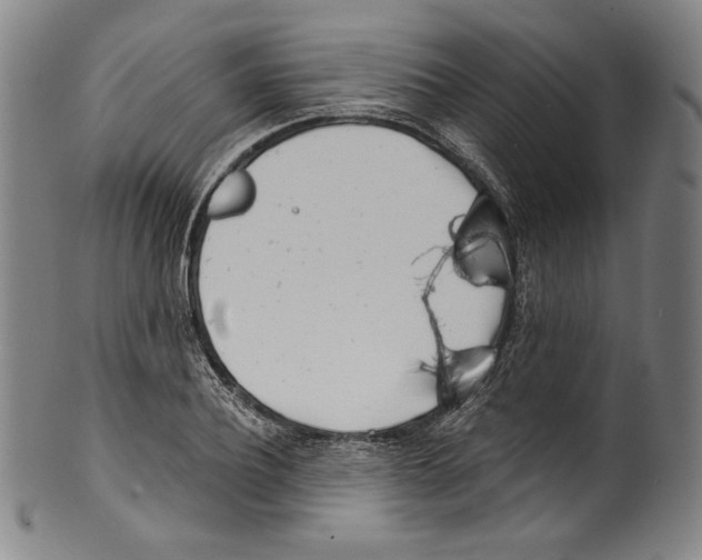 X0000099440932200806061040