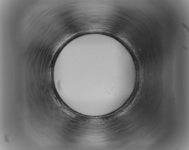 X0000099440933200806061040