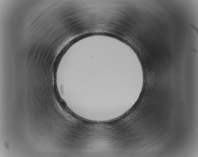 X0000099440934200806061040