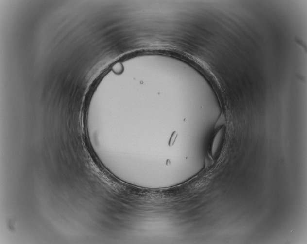 X0000099440935200806061040