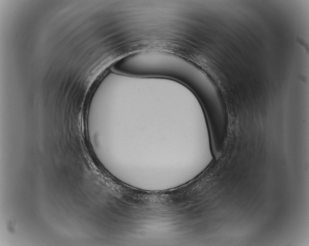 X0000099440936200806061040