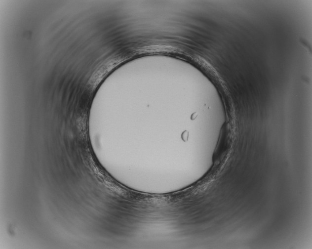 X0000099440937200806061040