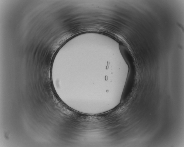 X0000099440938200806061040