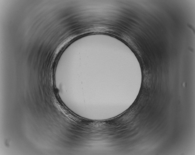 X0000099440939200806061040