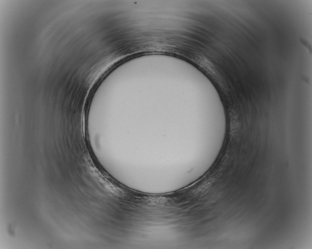 X0000099440940200806061040