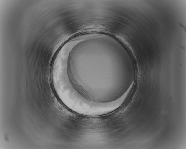 X0000099440941200806061040