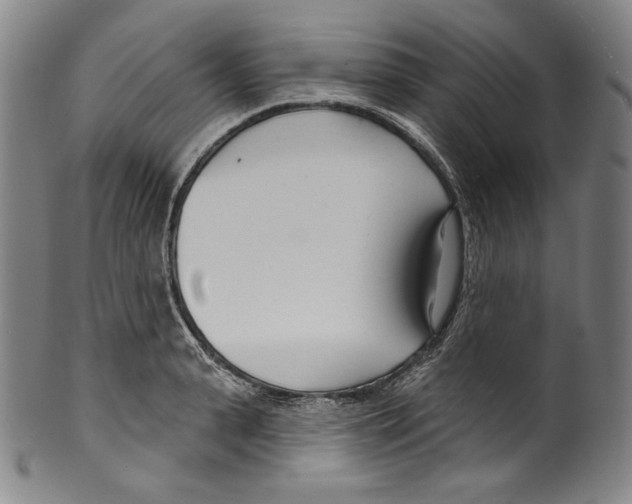 X0000099440943200806061041