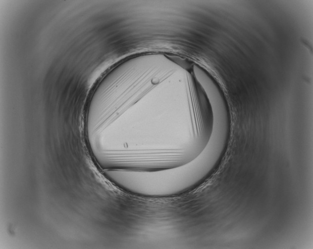 X0000099440944200806061041