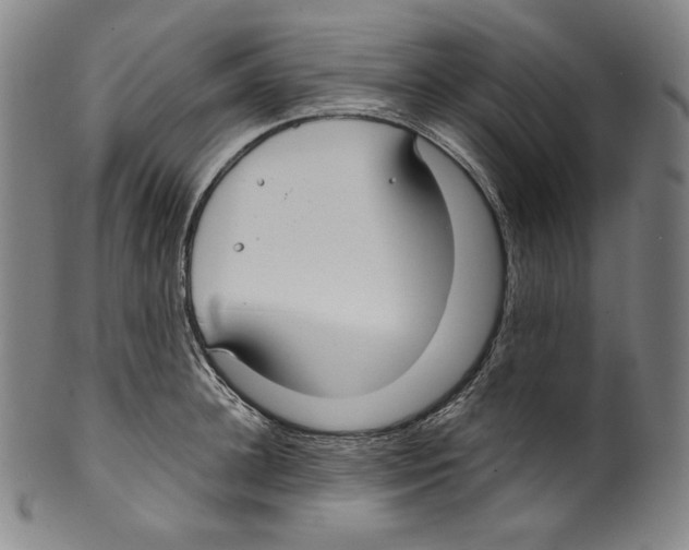 X0000099440948200806061041