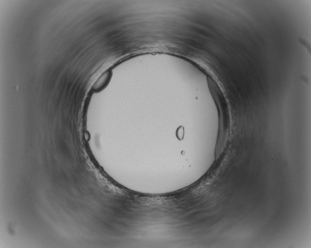 X0000099440949200806061041