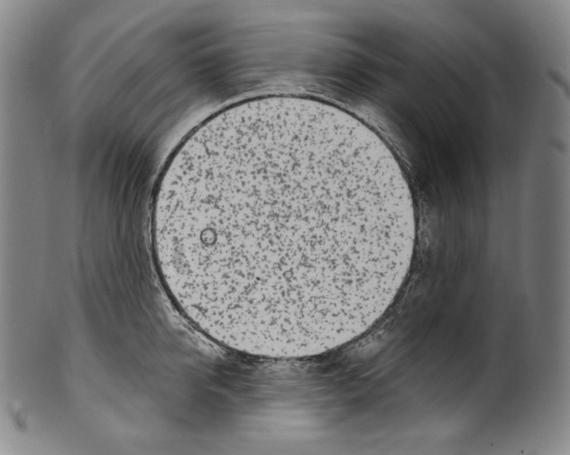 X0000099440950200806061041