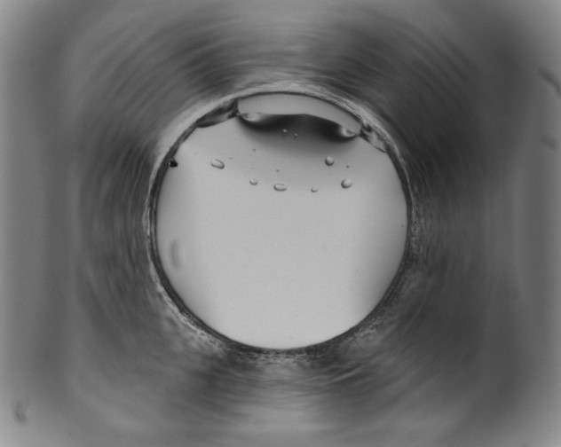 X0000099440951200806061041