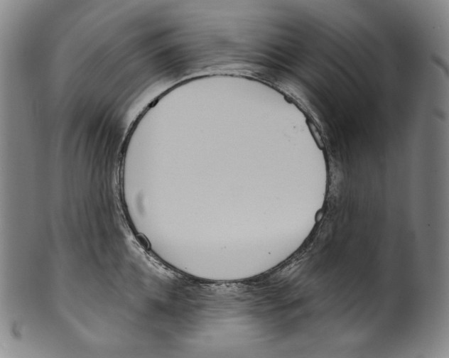 X0000099440952200806061041