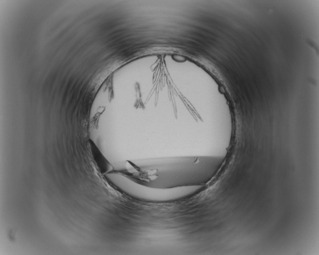 X0000099440953200806061041