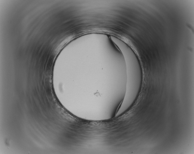 X0000099440954200806061041