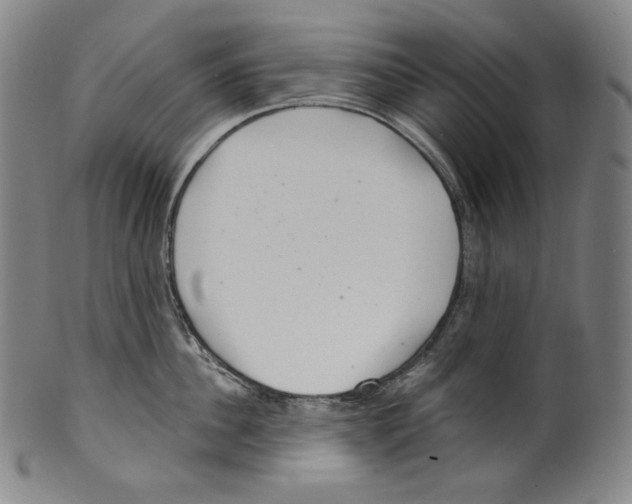 X0000099440956200806061041