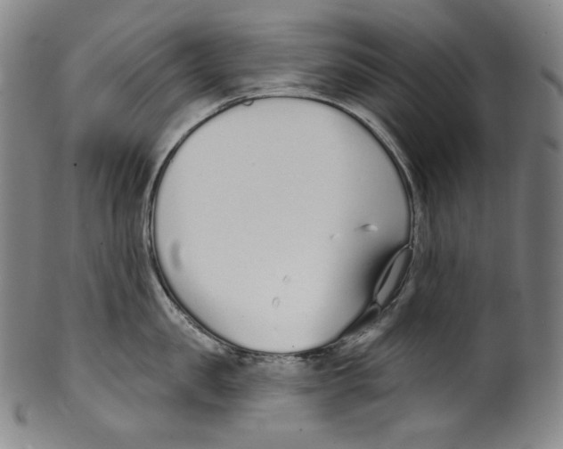 X0000099440957200806061041