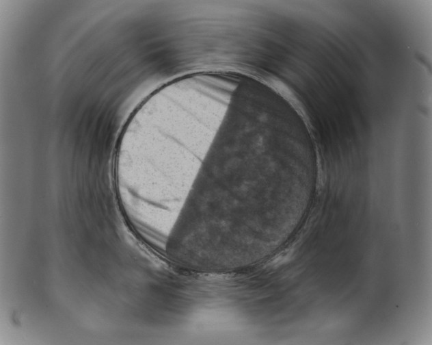 X0000099440958200806061041