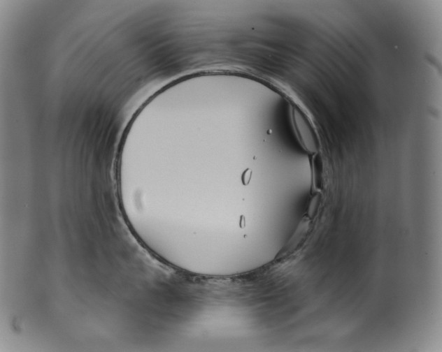 X0000099440959200806061041