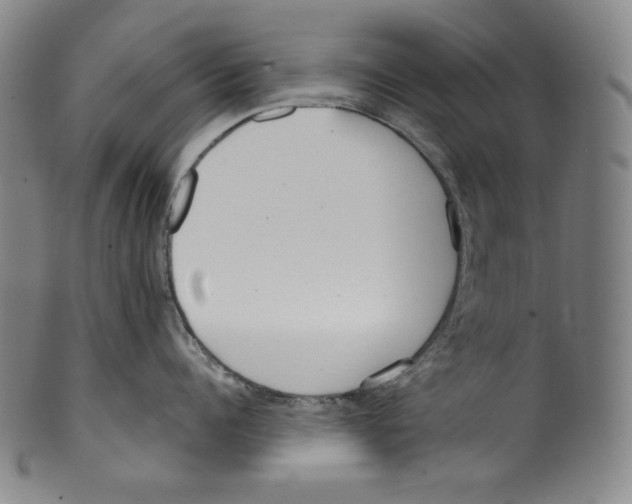 X0000099440960200806061041