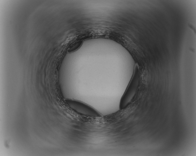 X0000099440961200806061040