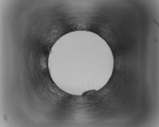 X0000099440962200806061040