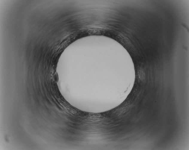 X0000099440964200806061040