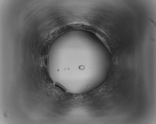 X0000099440965200806061040