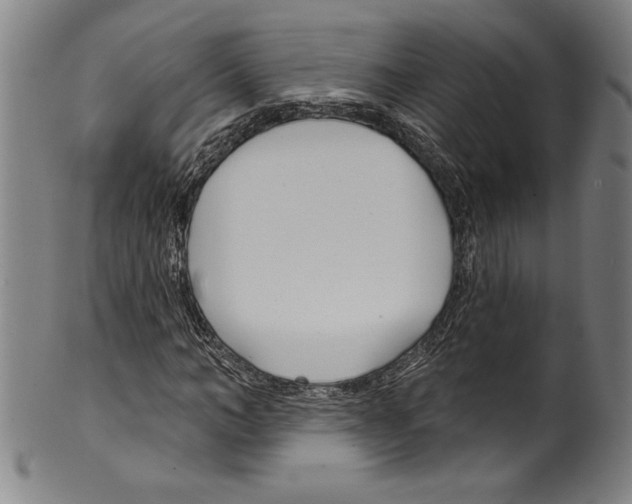 X0000099440966200806061040