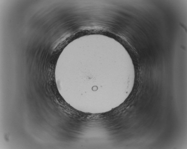 X0000099440967200806061040