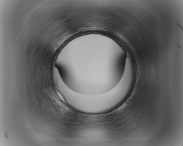 X0000099440969200806061040