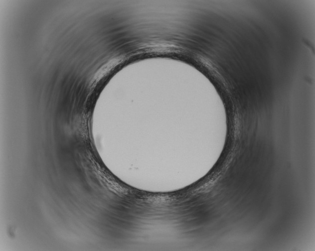 X0000099440970200806061040