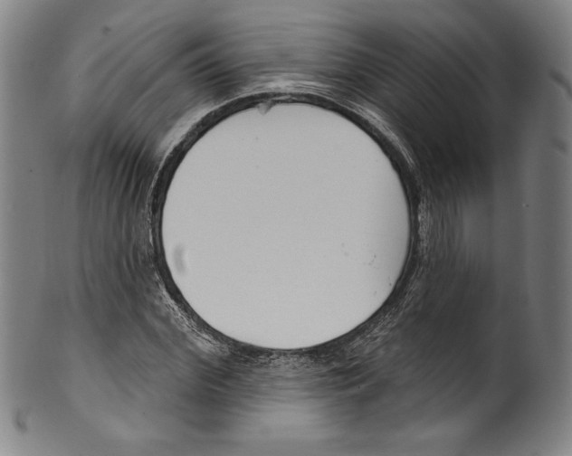 X0000099440972200806061040