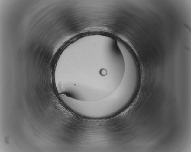 X0000099440973200806061040