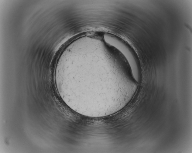 X0000099440975200806061040