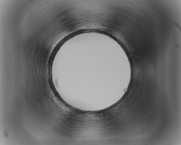 X0000099440976200806061040